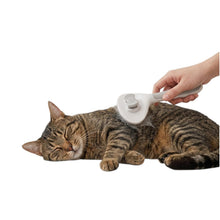 Cargar imagen en el visor de la galería, Cepillo Removedor De Pelo Mascotas Autolimpiable Gris CM01